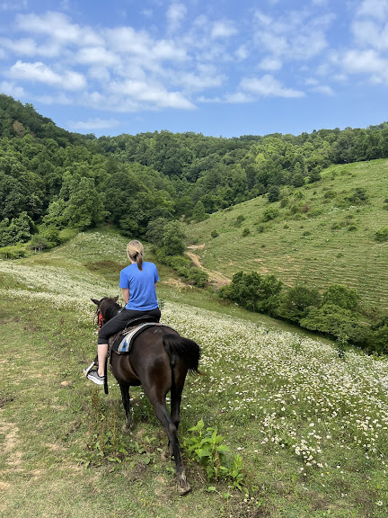 Smoky Mountain Trail Rides