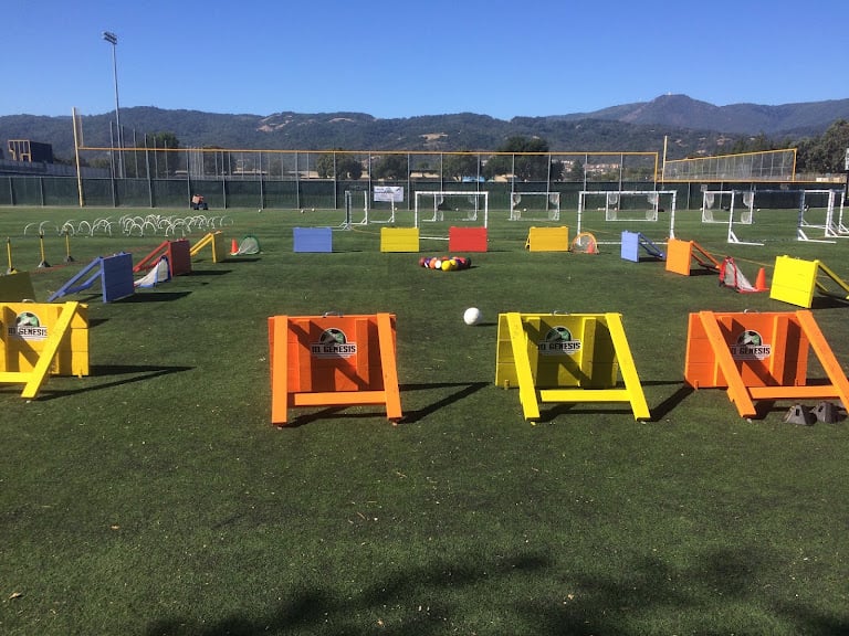 Soccer IQ Genesis