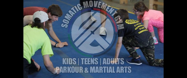Somatic Movement Gym - Parkour & Martial Arts — Arlington, Texas (2)