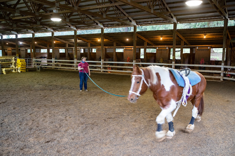 Son Rise Ranch