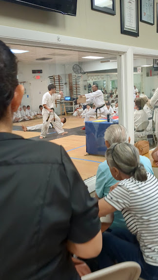 South Miami Taekwondo — Miami, Florida (3)