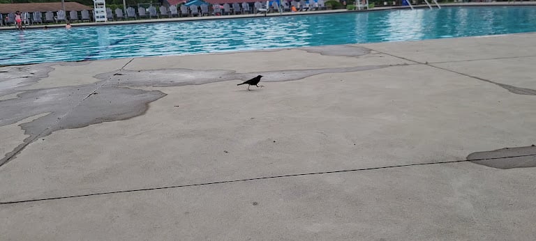 South Orange Community Pool — South Orange Village, New Jersey (3)