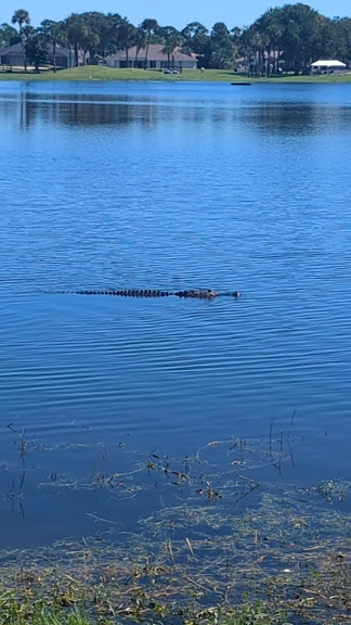 Space Coast Golf Club — Merritt Island, Florida (3)