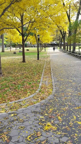 St. James Park — Bronx, New York (3)