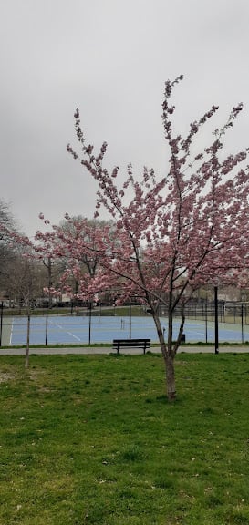 St. James Park Tennis Courts