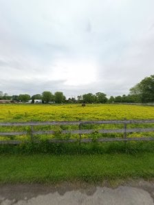 Star Stables Indiana — Indianapolis, Indiana (2)