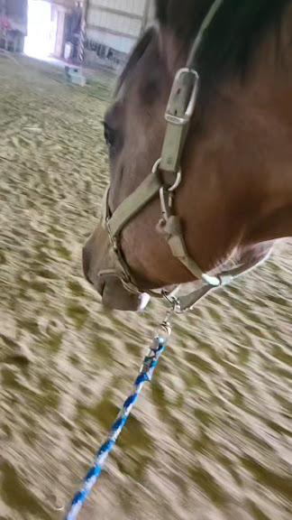 Star Stables Indiana — Indianapolis, Indiana (3)