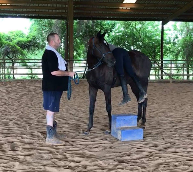 Sugar Land Stables