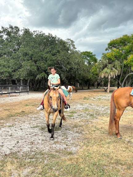 Sun City Stables
