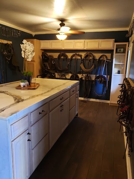 Suncoast Stables & Riding Academy — Odessa, Florida (2)