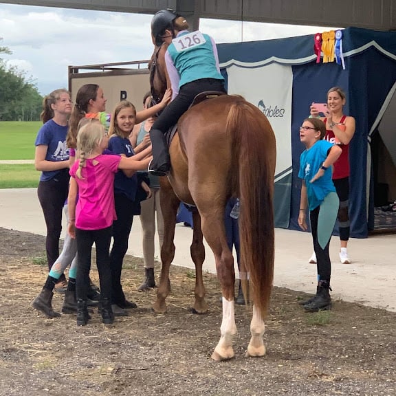 Suncoast Stables & Riding Academy — Odessa, Florida (3)