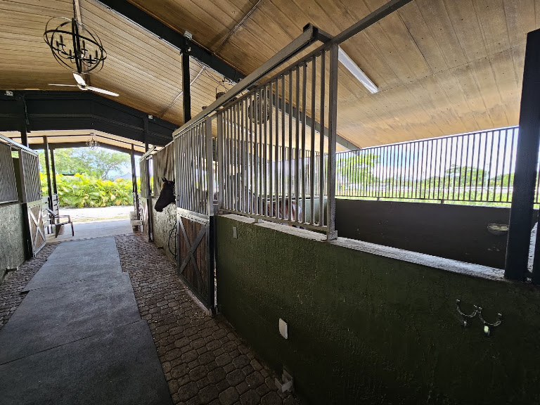 Sunset Equestrian Stables