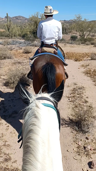 Superstitions OK Corral Stables — Apache Junction, Arizona (2)