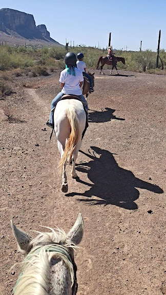 Superstitions OK Corral Stables — Apache Junction, Arizona (3)