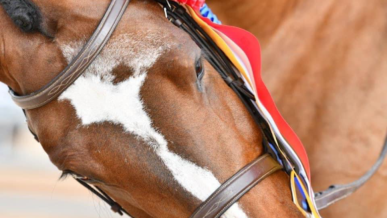 Sweetwater Stables
