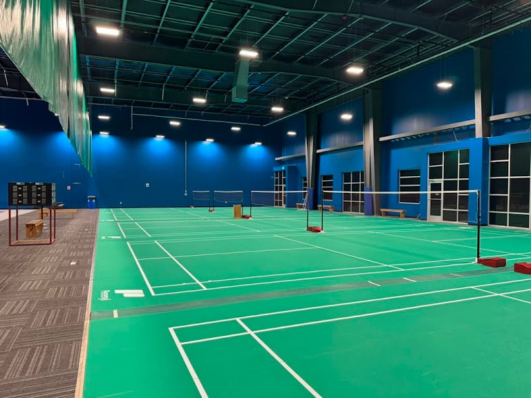 Synergy Badminton NC