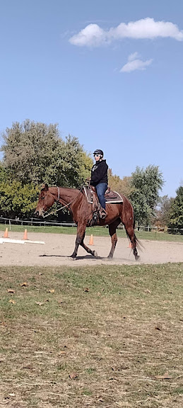 Take The Lead Horsemanship