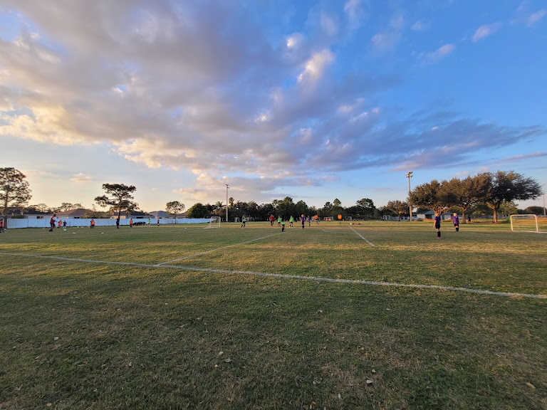 Tampa Dynamo FC — Soccer venue in Florida