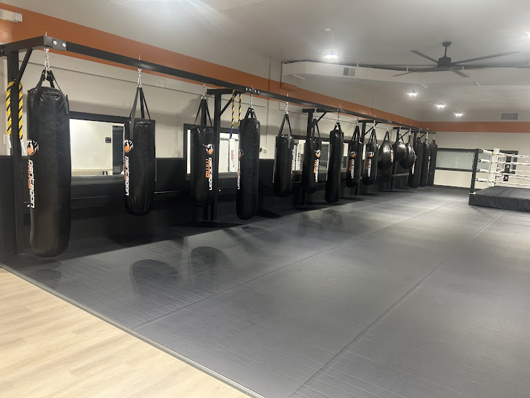 Teddy’s Fitness Boxing — Gym venue in Arlington, Virginia