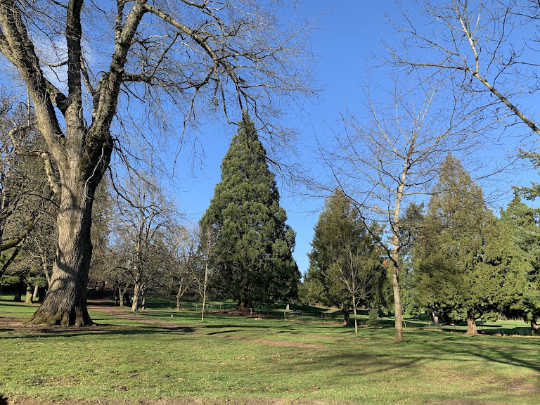 Tennis Courts — Sports Club in Portland, Oregon