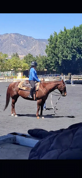 TES-Horse Camp — Burbank, California (3)