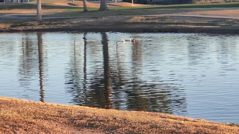 The Clubs at Arrowhead — Glendale, Arizona (2)