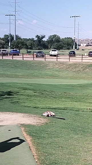 The Courses at Watters Creek — Plano, Texas (3)