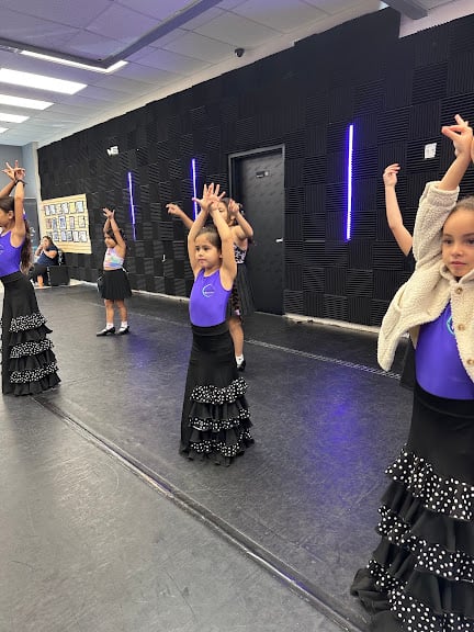 THE DANCER DANCE STUDIO
