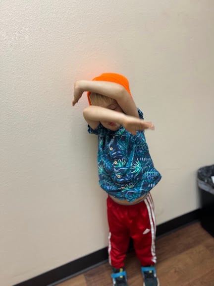 The Dancing Turtle LLC — Albuquerque, New Mexico (2)
