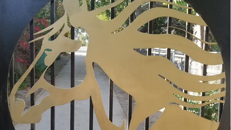 The Golden Horse Ranch — Equestrian venue in Shadow Hills, California