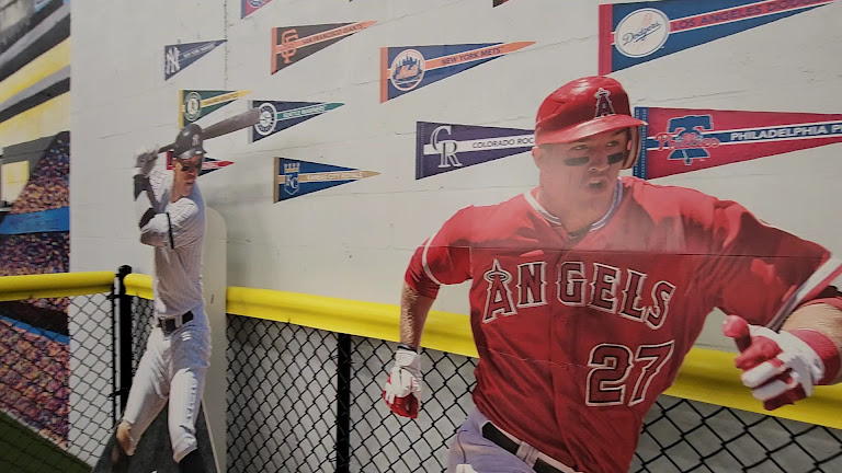 The Hitting Academy Brandon — Brandon, Florida (3)