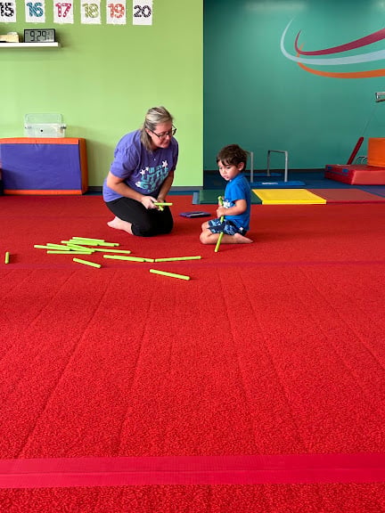 The Little Gym of Tampa-Carrollwood, FL — Tampa, Florida (2)