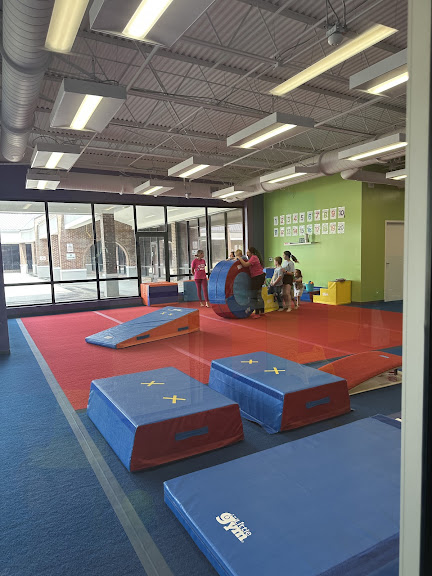 The Little Gym of Tampa-Carrollwood, FL