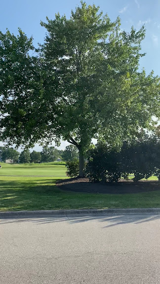 The Medallion Club — Westerville, Ohio (3)