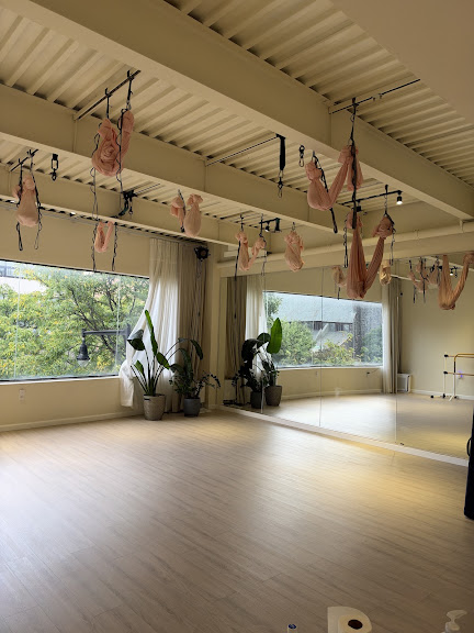 The One Yoga & Pilates — Flushing, New York (2)