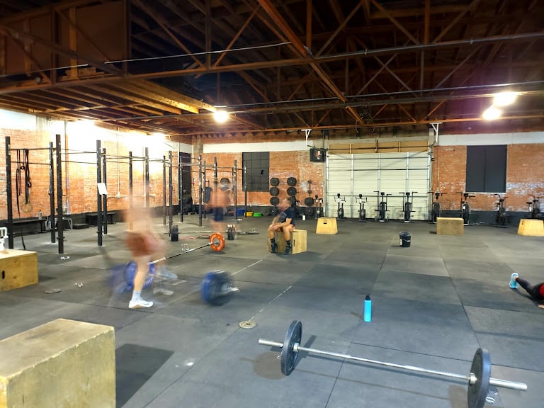 The Pack Training Co.