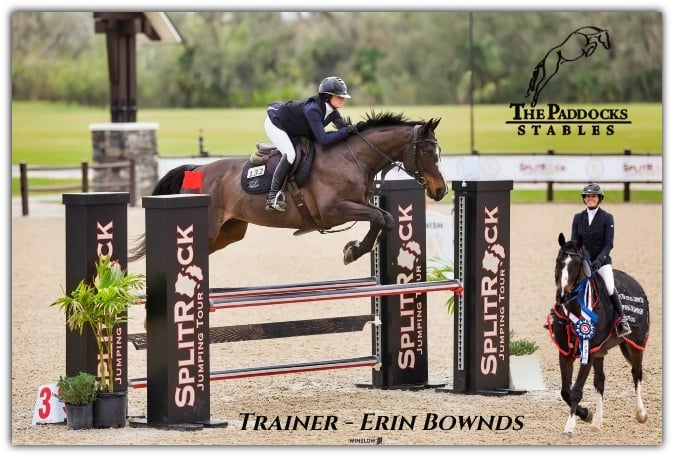 The Paddocks Stables