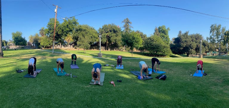 The Root Cause Yoga