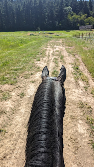 The Sherwood Forest Equestrian Center