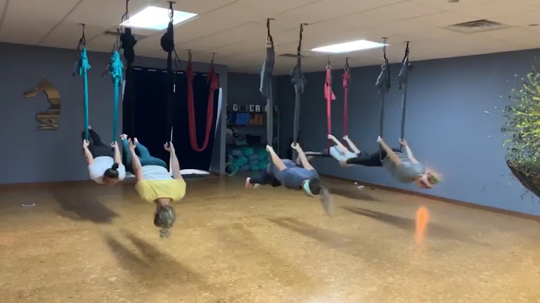 The Yogi Perogi — Melbourne, Florida (3)