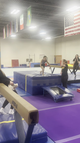 TIGAR Gymnastics — Wheat Ridge, Colorado (3)