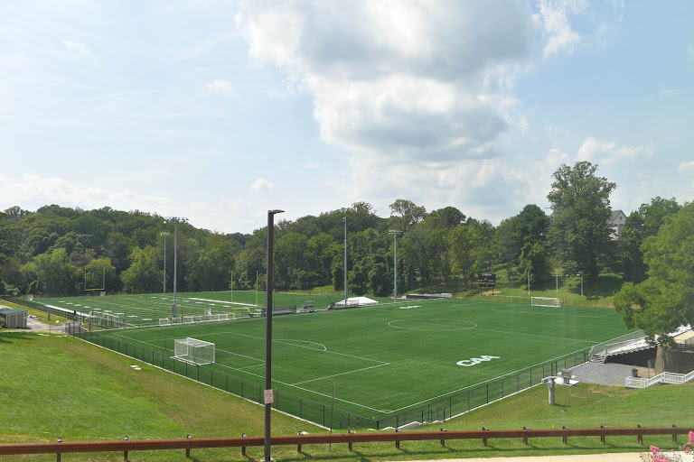 Tiger Field