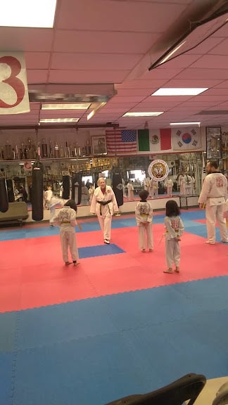 Tiger Kim's Academy of Taekwondo and Tang Soo Do — Denver, Colorado (3)