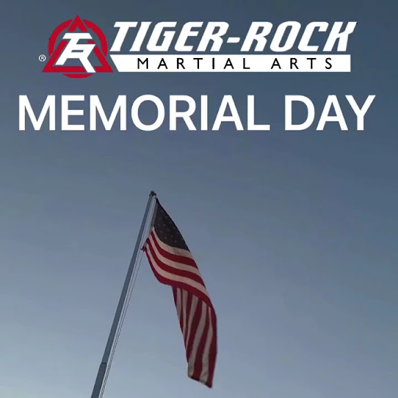 Tiger Rock Martial Arts - Colorado Springs — Colorado Springs, Colorado (3)