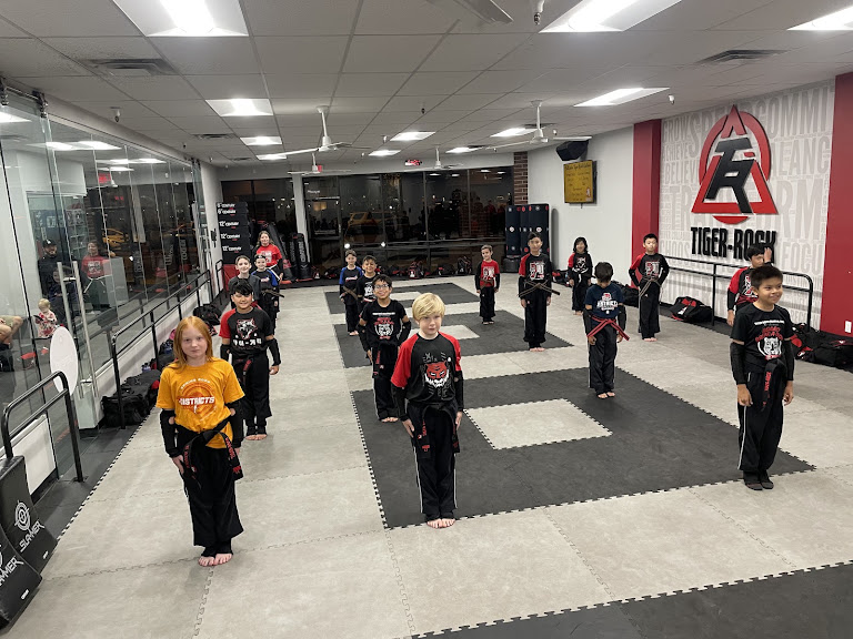 Tiger Rock Martial Arts of Glendale — Glendale, Arizona (2)
