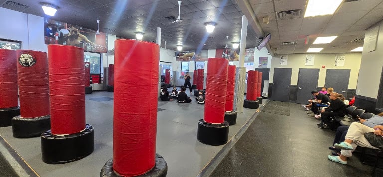 Tiger Schulmann's Martial Arts (Astoria, NY) — Astoria, New York (2)