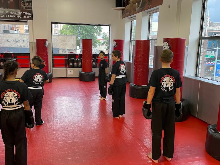 Tiger Schulmann's Martial Arts (Astoria, NY) — Astoria, New York (3)