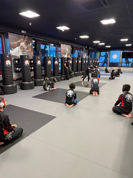 Tiger Schulmann’s Martial Arts (Bay Ridge, NY)