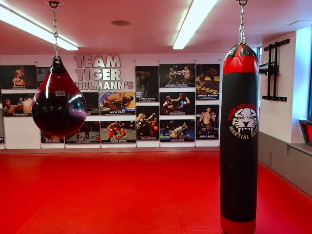 Tiger Schulmann’s Martial Arts (Chelsea, NY)