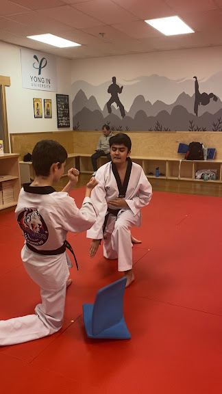 Tiger Woo's World Class Tae Kwon Do & Family Martial Arts — Powell, Ohio (3)